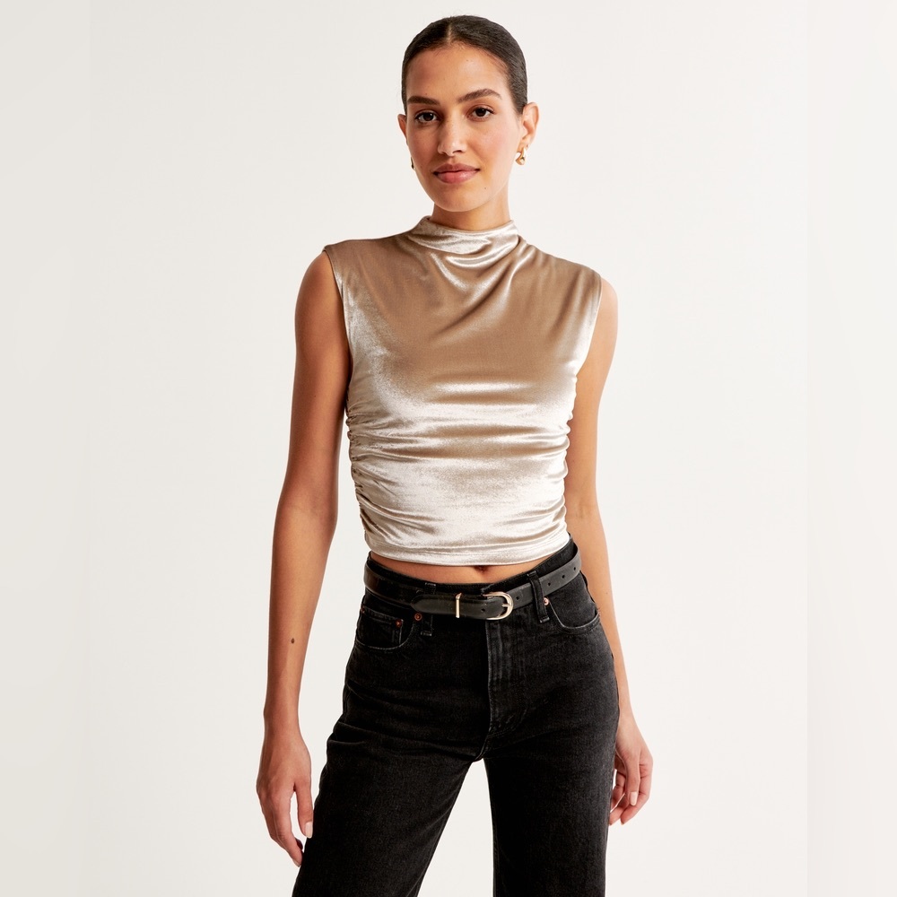 Abercrombie & Fitch Paloma Top in Brown Velvet